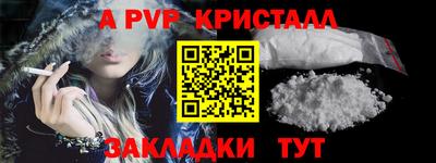 прущие грибы Новозыбков