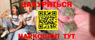 прущие грибы Новозыбков