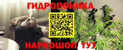 мяу мяу мука Новодвинск
