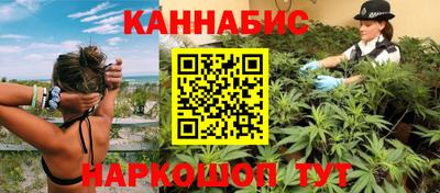 прущие грибы Новозыбков