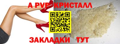 прущие грибы Новозыбков
