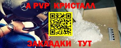 прущие грибы Новозыбков
