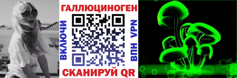 дарнет шоп  Борзя  Псилоцибиновые грибы прущие грибы 