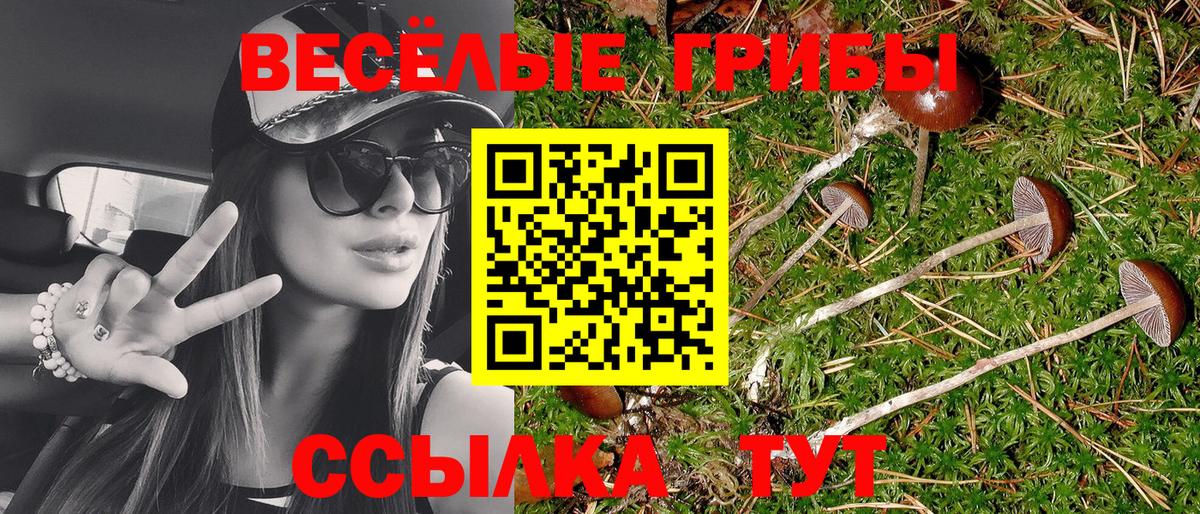 Галлюциногенные грибы Psilocybe  Вход с VPN  Галлюциногенные грибы мицелий  Борзя 