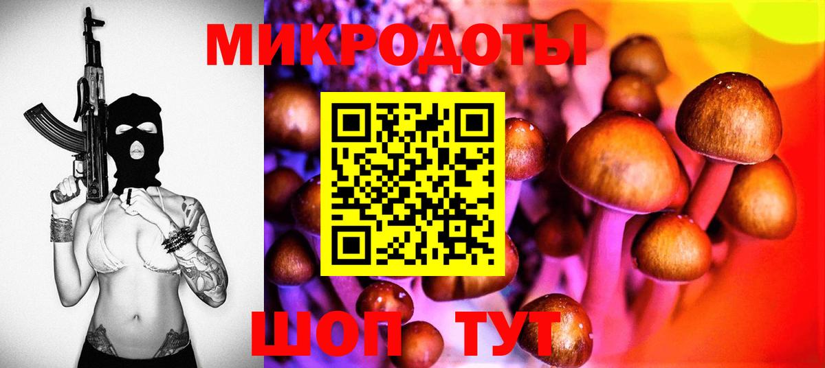 Псилоцибиновые грибы GOLDEN TEACHER Борзя